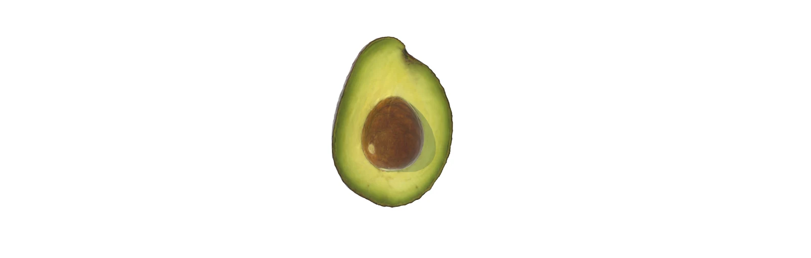Avocado — render