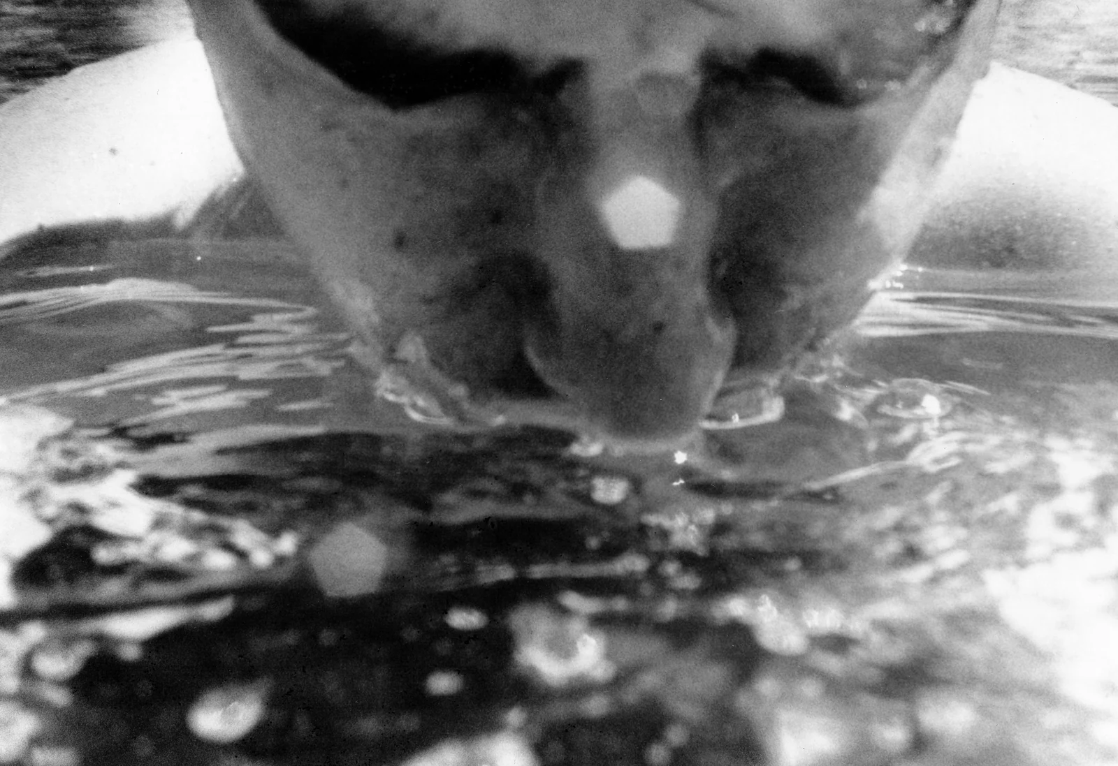A face blowing bubbles at the water’s surface