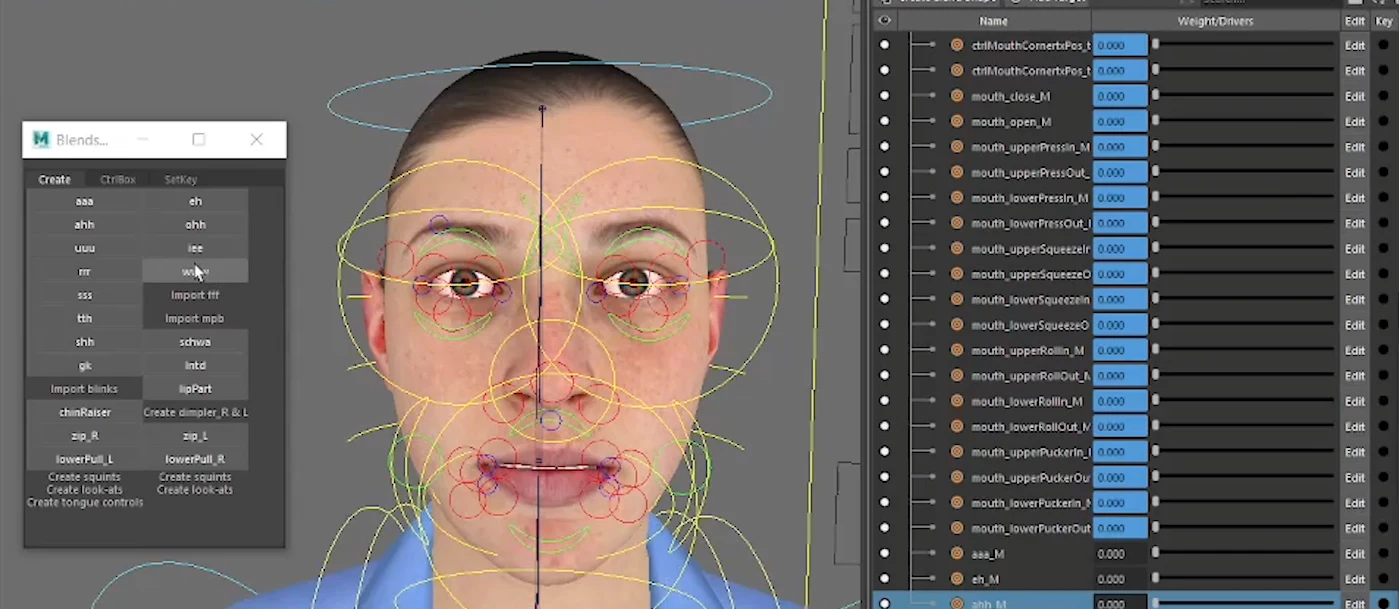 Facial rig and controls