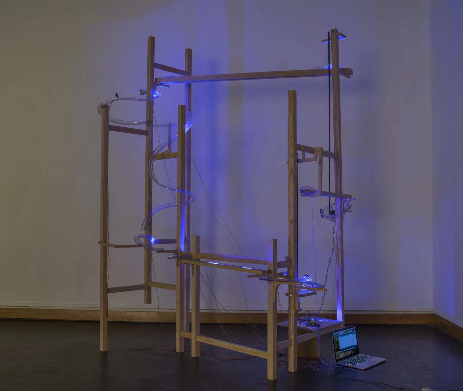 Digital Rube Goldberg installation by Ashley Aucoin